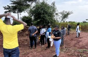 How to Know if a Land is Free from Government Acquisition in Abuja Land free of government acquisition in Abuja