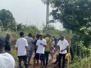 Follow These Steps to Verify the Authenticity of a C of O in Abuja Verify the authenticity of c of o in Abuja